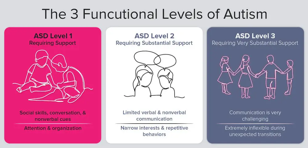 Functioning labels in autism